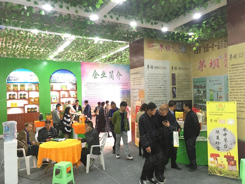 活動設計搭建 活動設計搭建